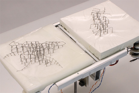 Close-up of two pieces in the series, Comparative Anatomy of Angels.