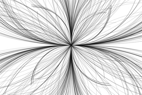 Close-up of a Font Flower