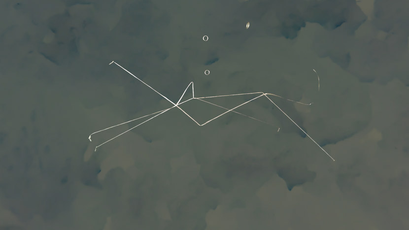 Still from Priscilla