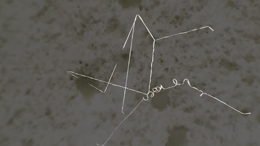 Still from Priscilla