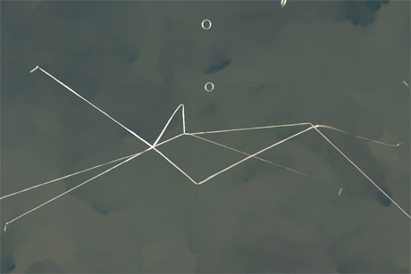 still from Priscilla